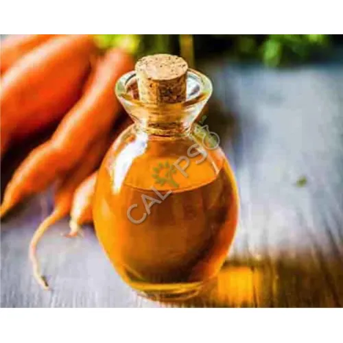 Yellow Carrot Oil Extract